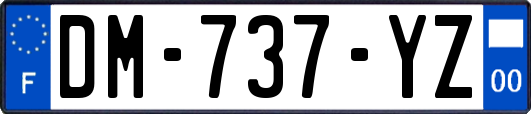 DM-737-YZ