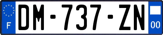 DM-737-ZN