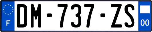 DM-737-ZS