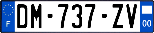 DM-737-ZV