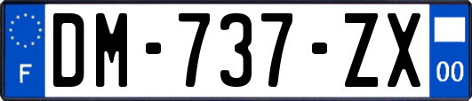 DM-737-ZX