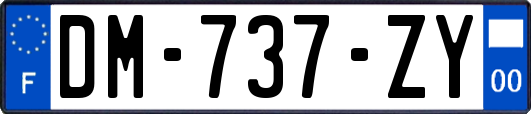 DM-737-ZY