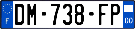 DM-738-FP