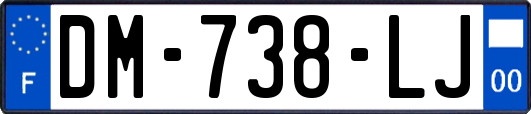 DM-738-LJ