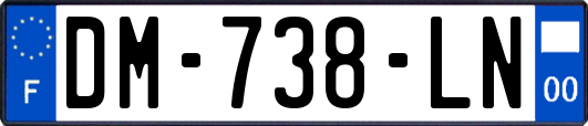 DM-738-LN