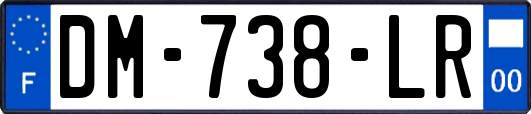 DM-738-LR