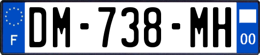 DM-738-MH