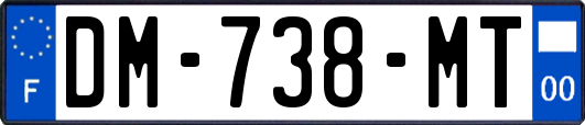 DM-738-MT