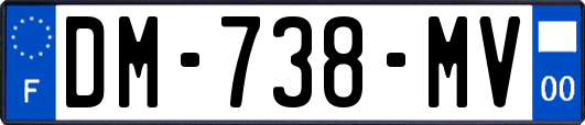 DM-738-MV