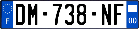 DM-738-NF