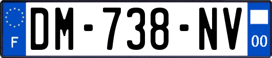 DM-738-NV