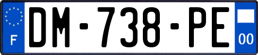 DM-738-PE