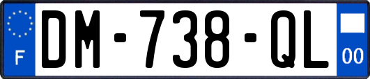 DM-738-QL