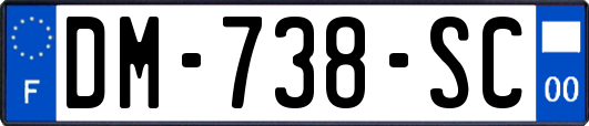 DM-738-SC