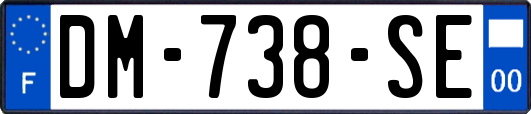 DM-738-SE
