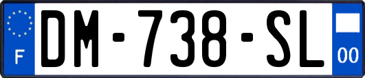 DM-738-SL