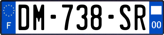 DM-738-SR