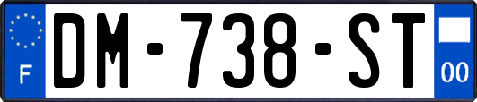 DM-738-ST