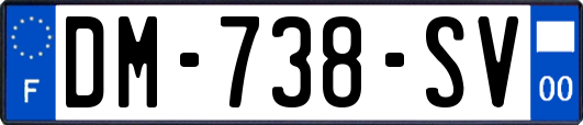 DM-738-SV