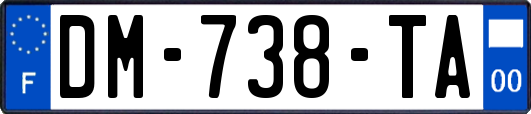 DM-738-TA
