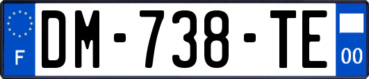 DM-738-TE