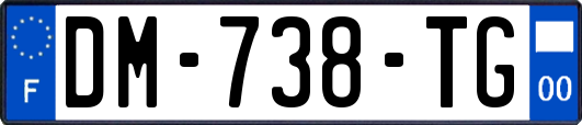 DM-738-TG