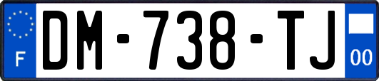 DM-738-TJ