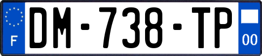 DM-738-TP