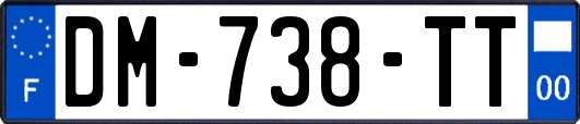 DM-738-TT