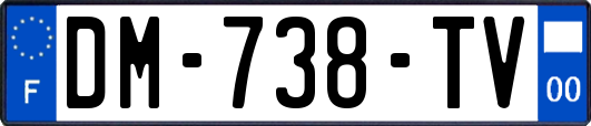 DM-738-TV