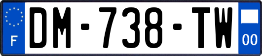 DM-738-TW