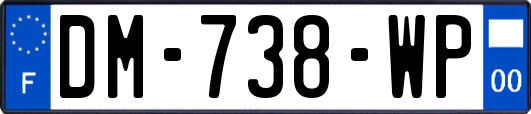 DM-738-WP