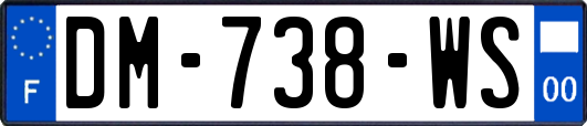 DM-738-WS