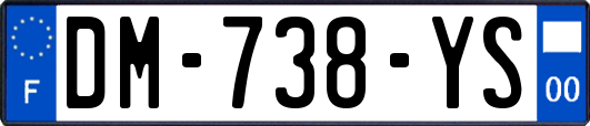 DM-738-YS