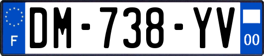 DM-738-YV