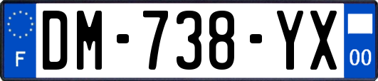 DM-738-YX