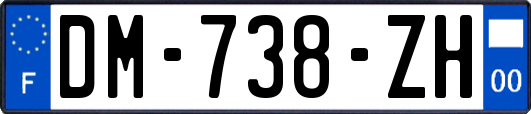 DM-738-ZH