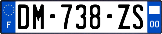 DM-738-ZS