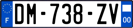 DM-738-ZV