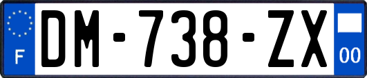 DM-738-ZX