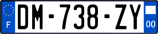 DM-738-ZY