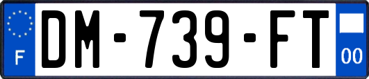 DM-739-FT