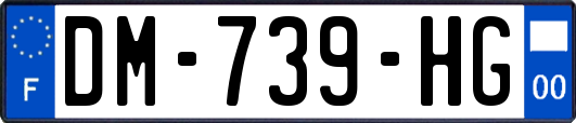 DM-739-HG