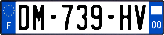 DM-739-HV