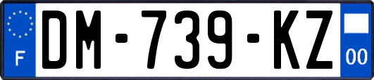 DM-739-KZ