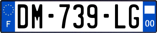 DM-739-LG