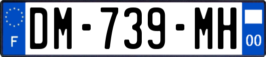 DM-739-MH
