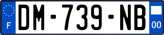 DM-739-NB