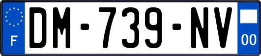 DM-739-NV