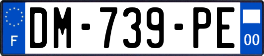 DM-739-PE